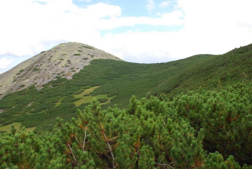 Черник з panoramio.com - Черник