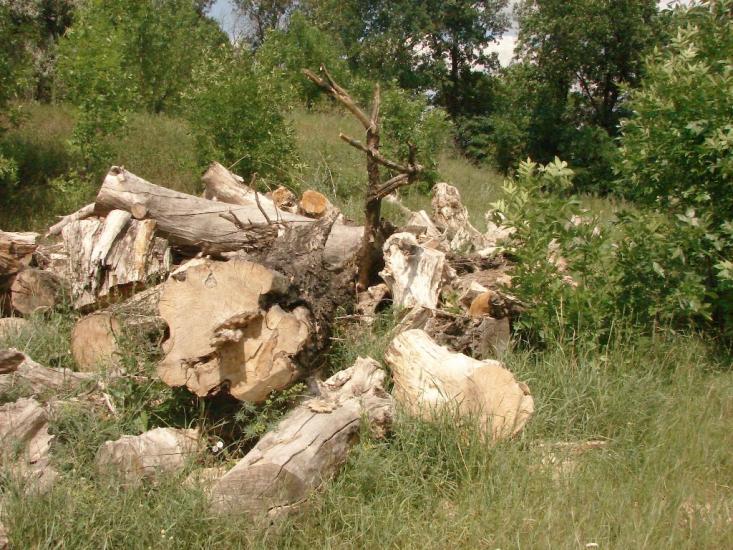 Новий Донбас з panoramio.com - Novyy Donbas