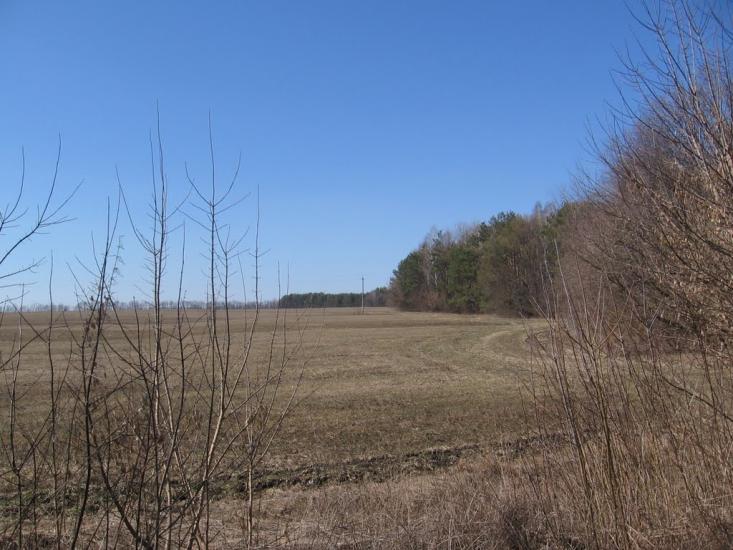 Петрушин з panoramio.com - Petrushyn
