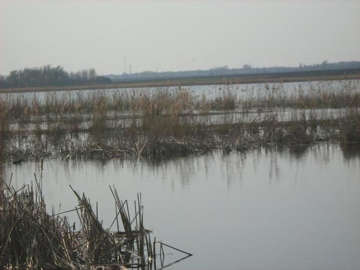 Парипси з panoramio.com - Парипси