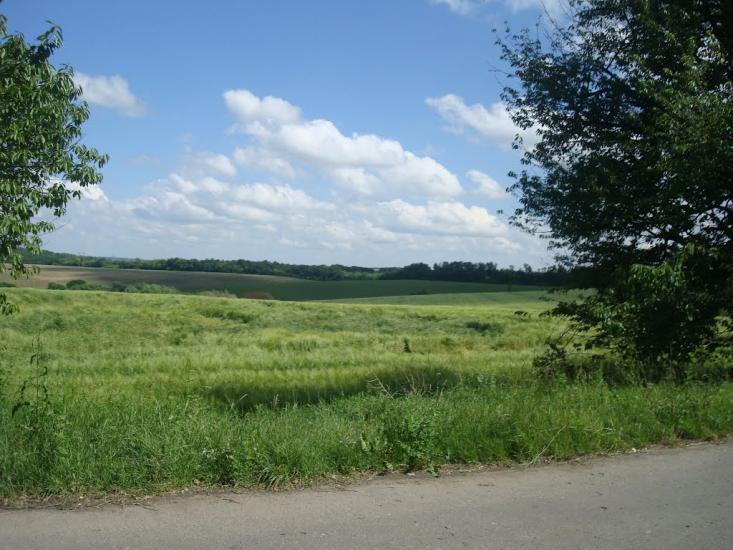 Малиничі з panoramio.com - Малиничи