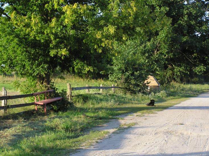 Ушиця з panoramio.com - Ushytsya