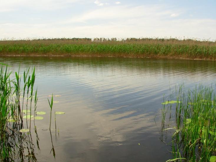Колісники з panoramio.com - Колісники