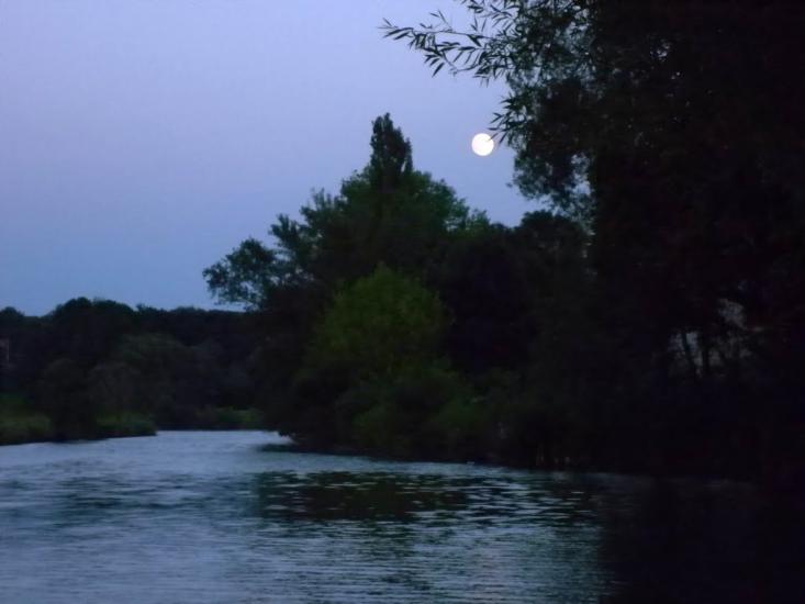 Голодьки з panoramio.com - Голодьки