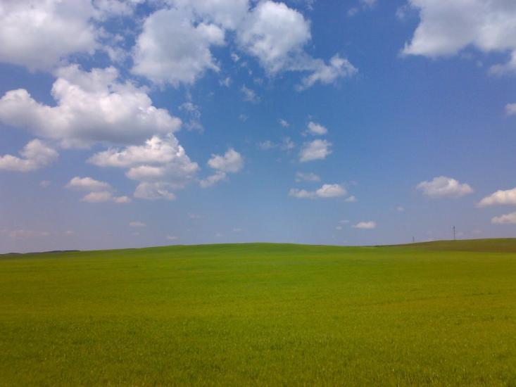 Дружне з panoramio.com - Дружное