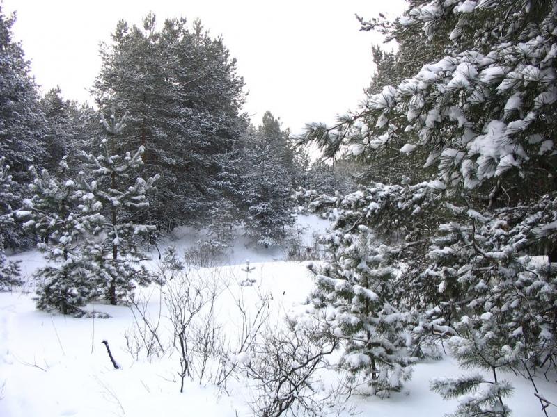 Горянівське з panoramio.com - Горянівське
