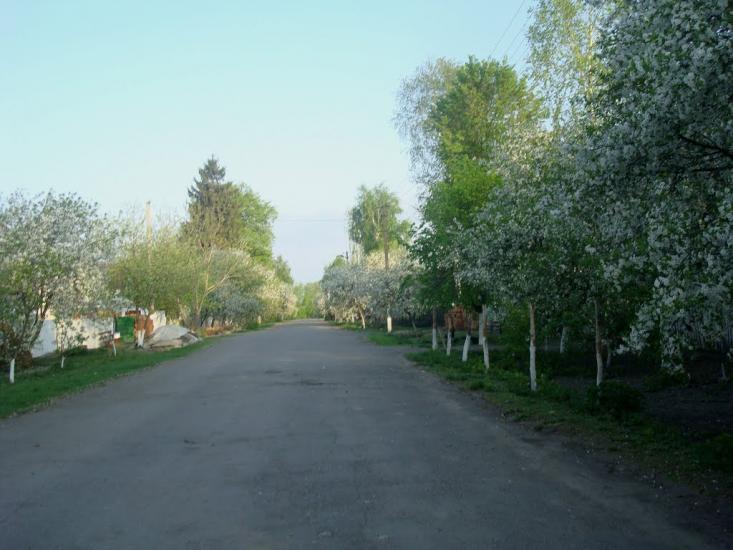 Чотирбоки з panoramio.com - Chotyrboky