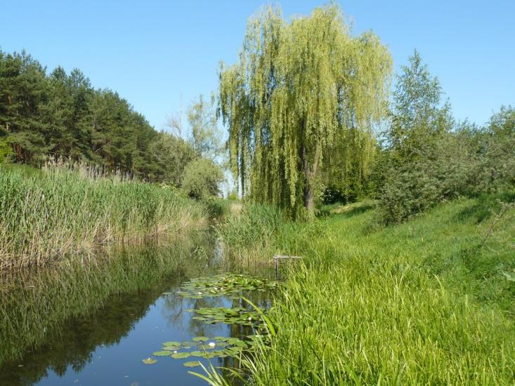 Чехівка з panoramio.com - Чеховка