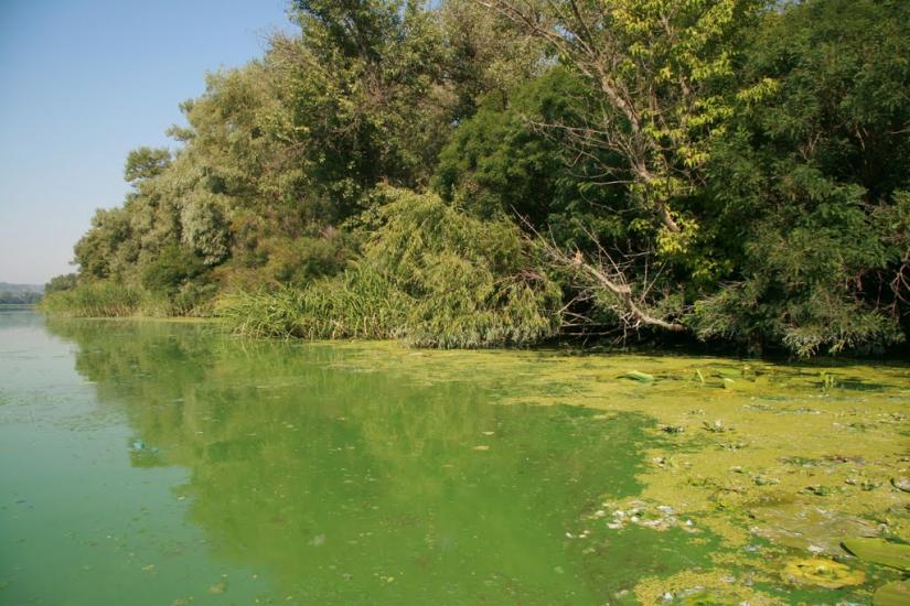 Карнаухівка з panoramio.com - Karnaukhivka