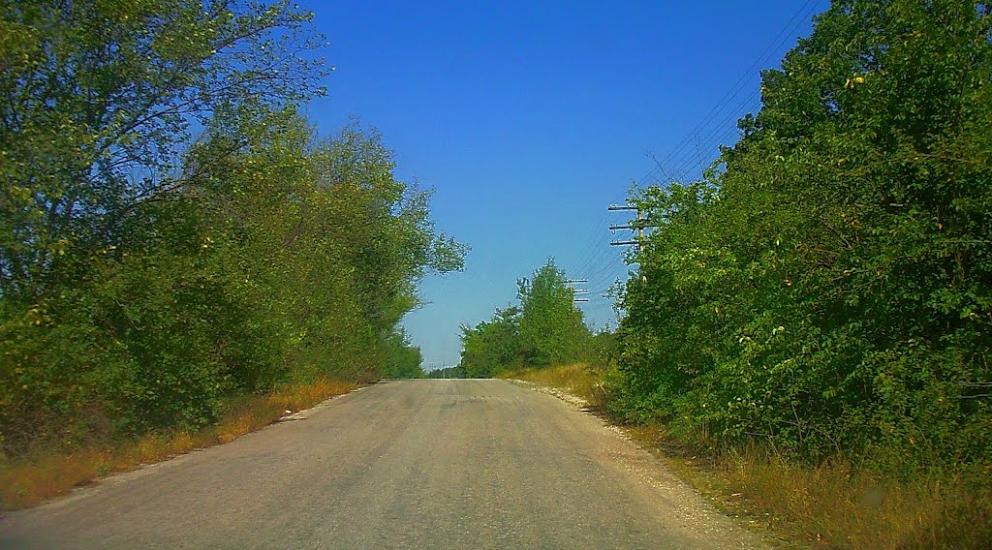 Каштанове з panoramio.com - Каштановое