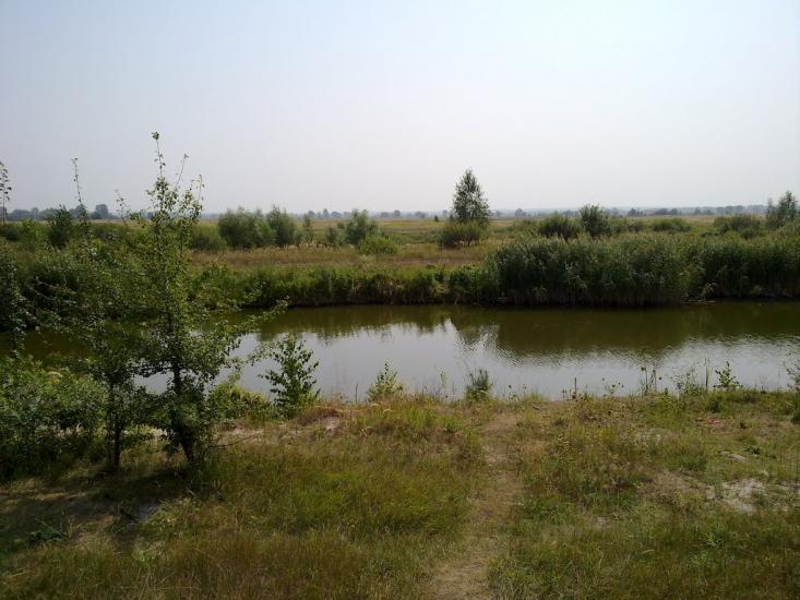 Новосілки з panoramio.com - Новоселки