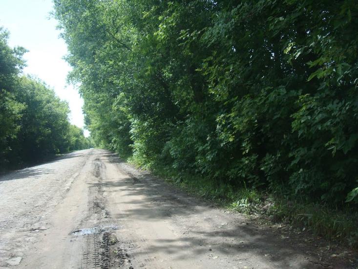 Іванківці з panoramio.com - Іванківці