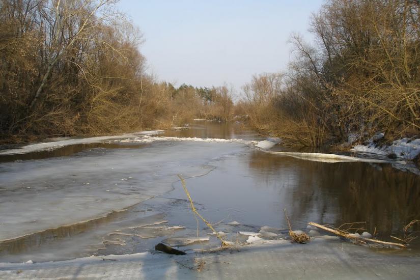 Велика Чернеччина з panoramio.com - Велика Чернеччина