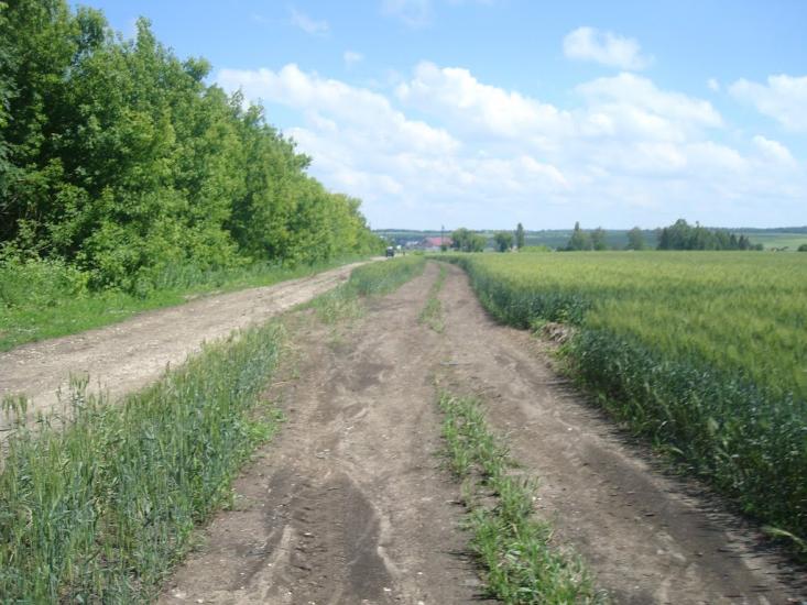 Малашівці з panoramio.com - Malashivtsi