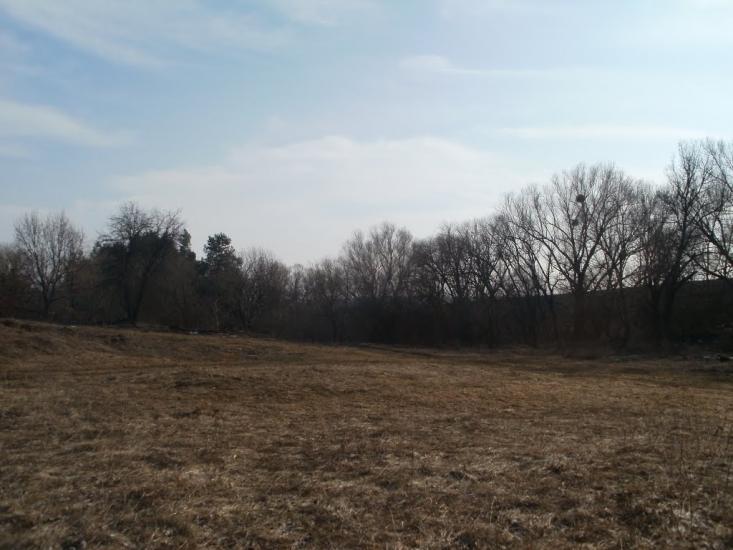 Млинки з panoramio.com - Млынки