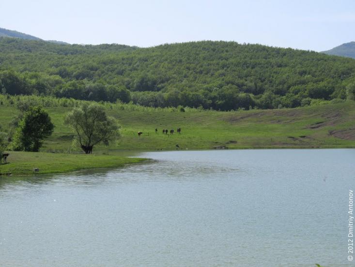 Поляна з panoramio.com - Polyana