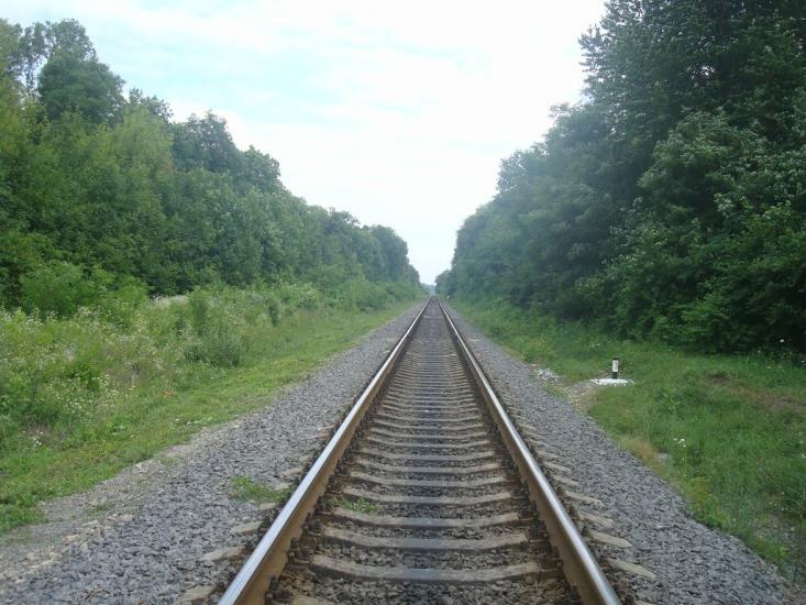 Слобідка-Гуменецька з panoramio.com - Слободка-Гуменецкая