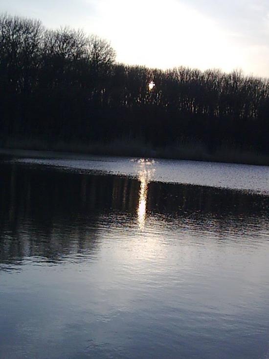 Пелагіївка з panoramio.com - Пелагіївка