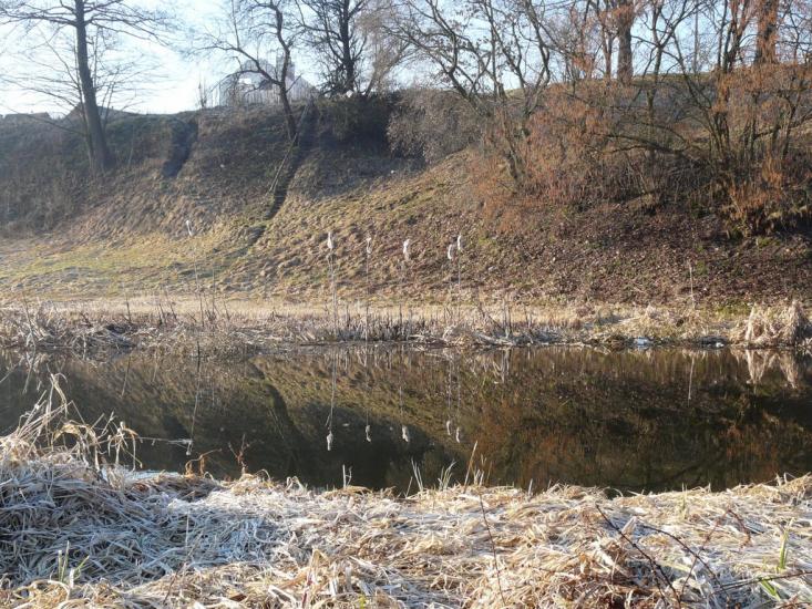 Житомир з panoramio.com - Житомир
