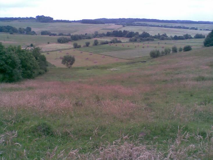 Волока з panoramio.com - Волока