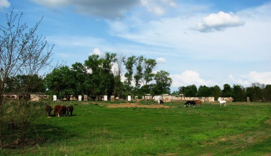 Мелені з panoramio.com - Meleni
