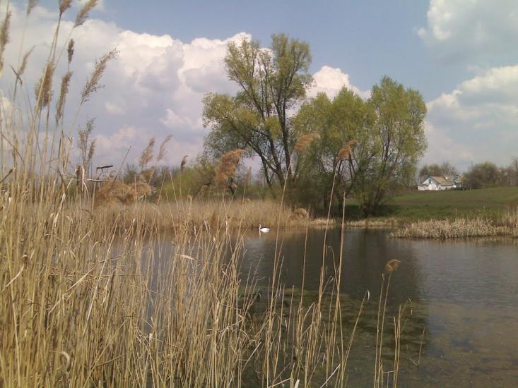 Степанівка з panoramio.com - Степановка