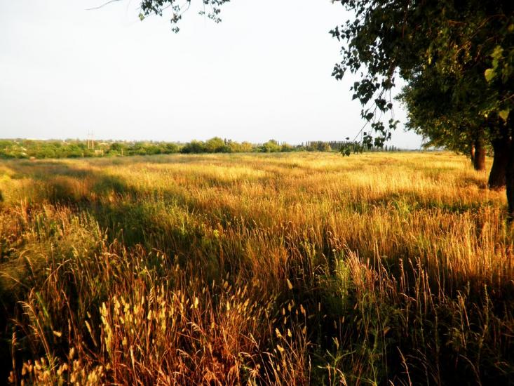 Власівка з panoramio.com - Власовка