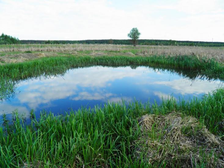 Єньків з panoramio.com - Yenkiv