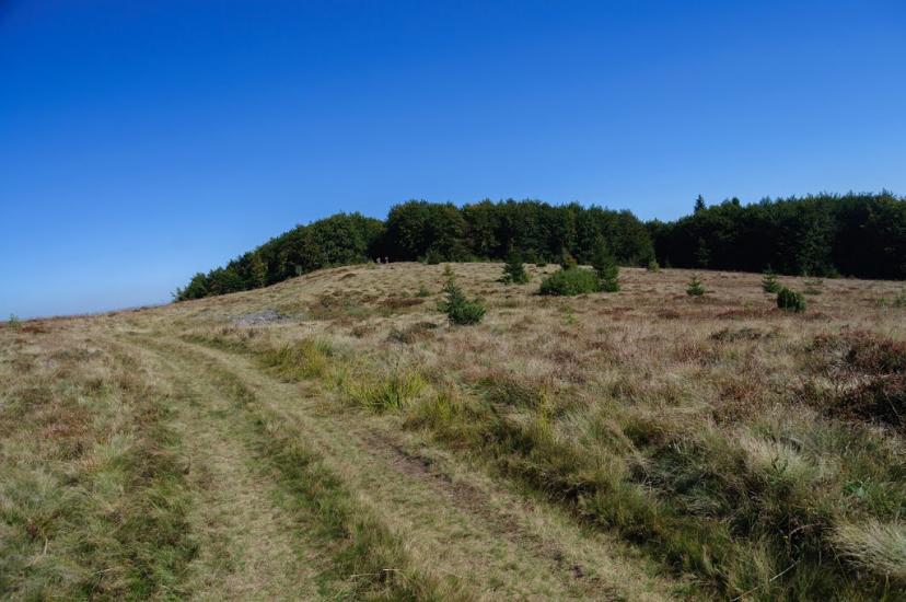 Гусний з panoramio.com - Гусний