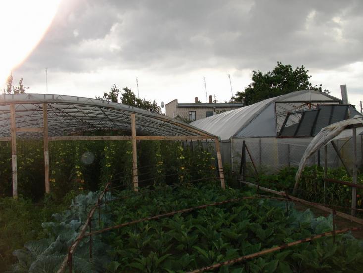 Олексіївка з panoramio.com - Алексеевка