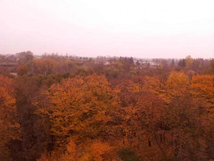 Ріпна з panoramio.com - Ріпна