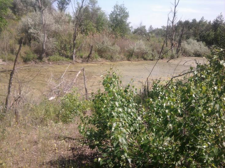 Щастя з panoramio.com - Schastya