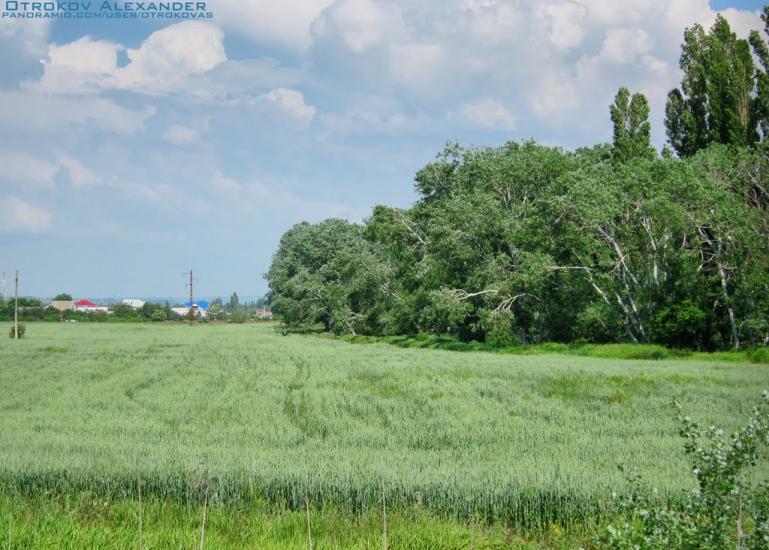 Осипенко з panoramio.com - Осипенко