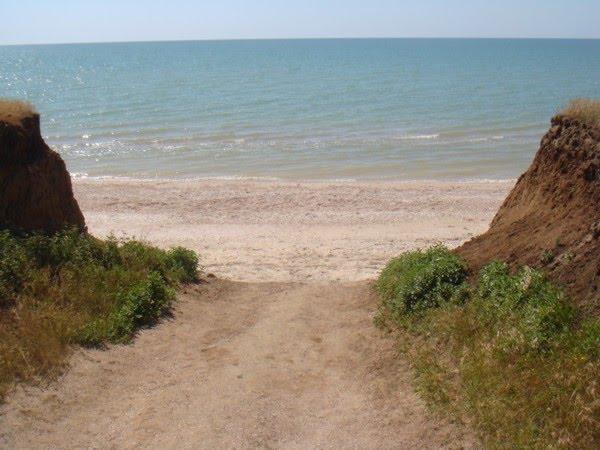 Степанівка Перша з panoramio.com - Степанівка Перша