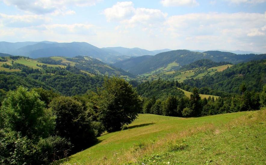 Стригальня з panoramio.com - Стригальняя