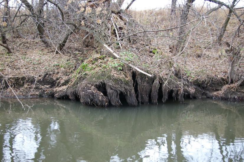 Весела Тарасівка з panoramio.com - Весела Тарасівка