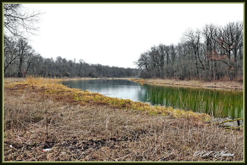 Шипилівка з panoramio.com - Shypylivka