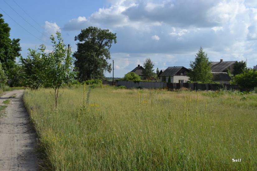 Бездрик з panoramio.com - Бездрик