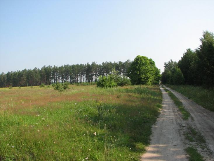 Віленька з panoramio.com - Vilenka