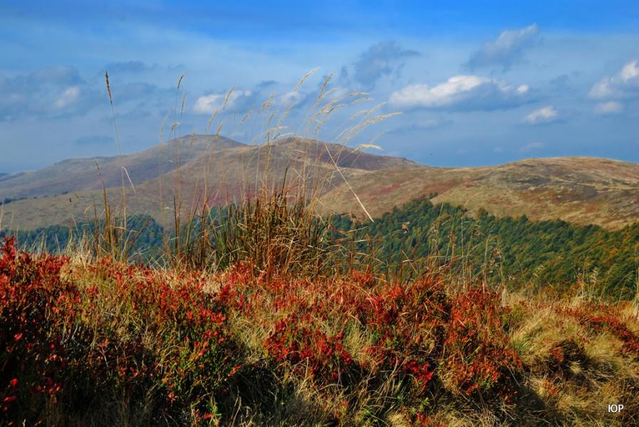 Потік з panoramio.com - Поток