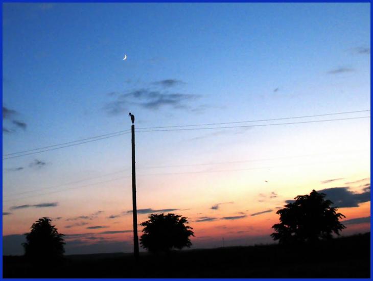 Букачівці з panoramio.com - Букачівці