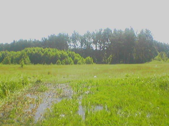 Роїще з panoramio.com - Роище