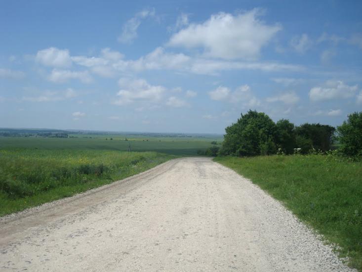 Черепова з panoramio.com - Черепова
