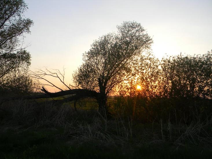 Білозір'я з panoramio.com - Белозерье