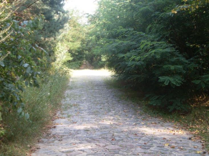 Китайгород з panoramio.com - Китайгород