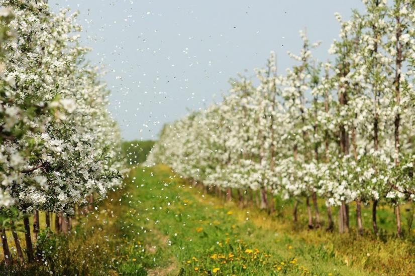 Гать з panoramio.com - Гать