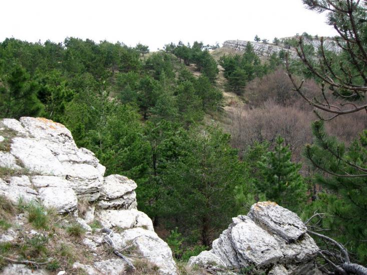 Відрадне з panoramio.com - Отрадное