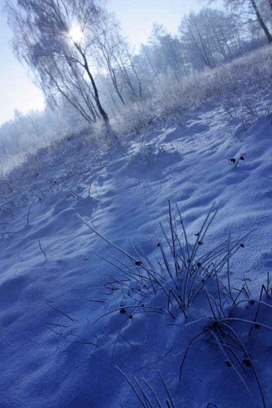 Суховоля з panoramio.com - Sukhovolya