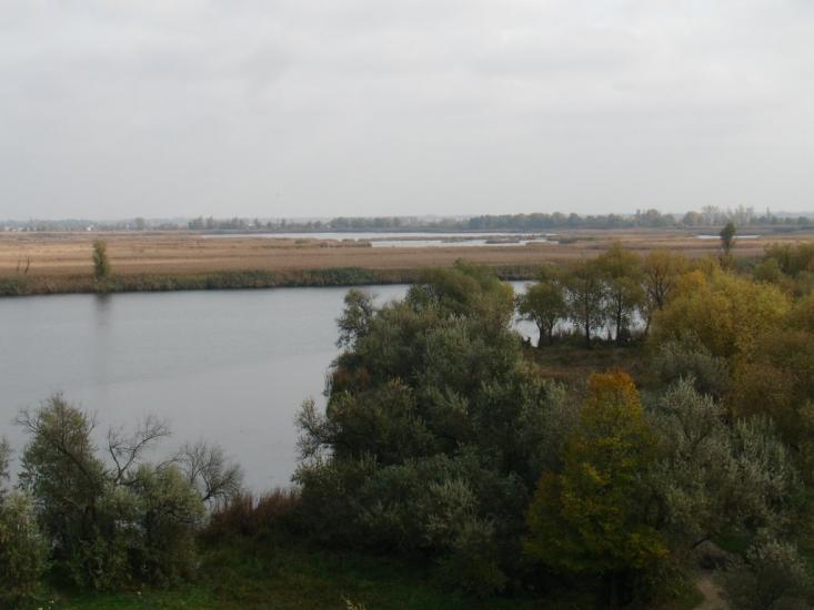 Дніпровське з panoramio.com - Дніпровське