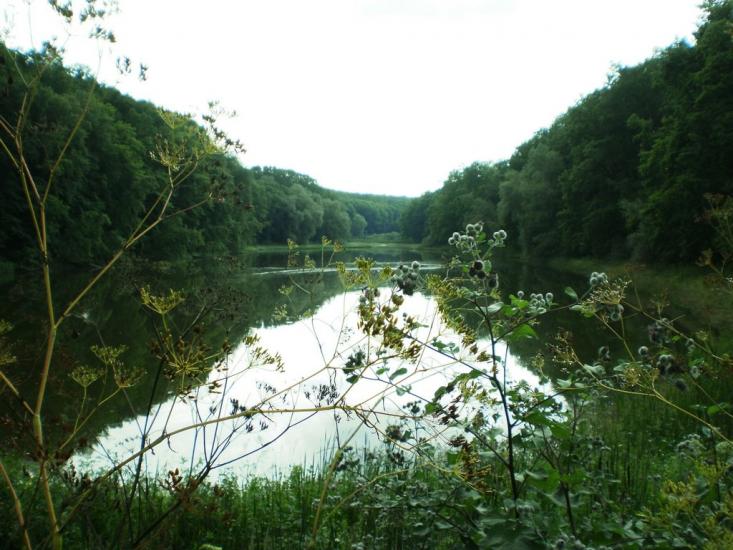 Руські Тишки з panoramio.com - Руські Тишки